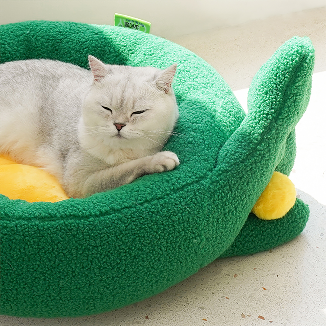 Pawsome Gesture Haustierbett Bequem Plüsch Hund Katze Bett Abnehmbares Kissen | Karnz