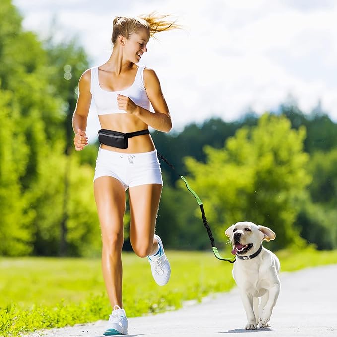 FlowLeash — Erleben Sie sanfte Kontrolle und entspannte Gassirunden ohne Rucke! | Karnz