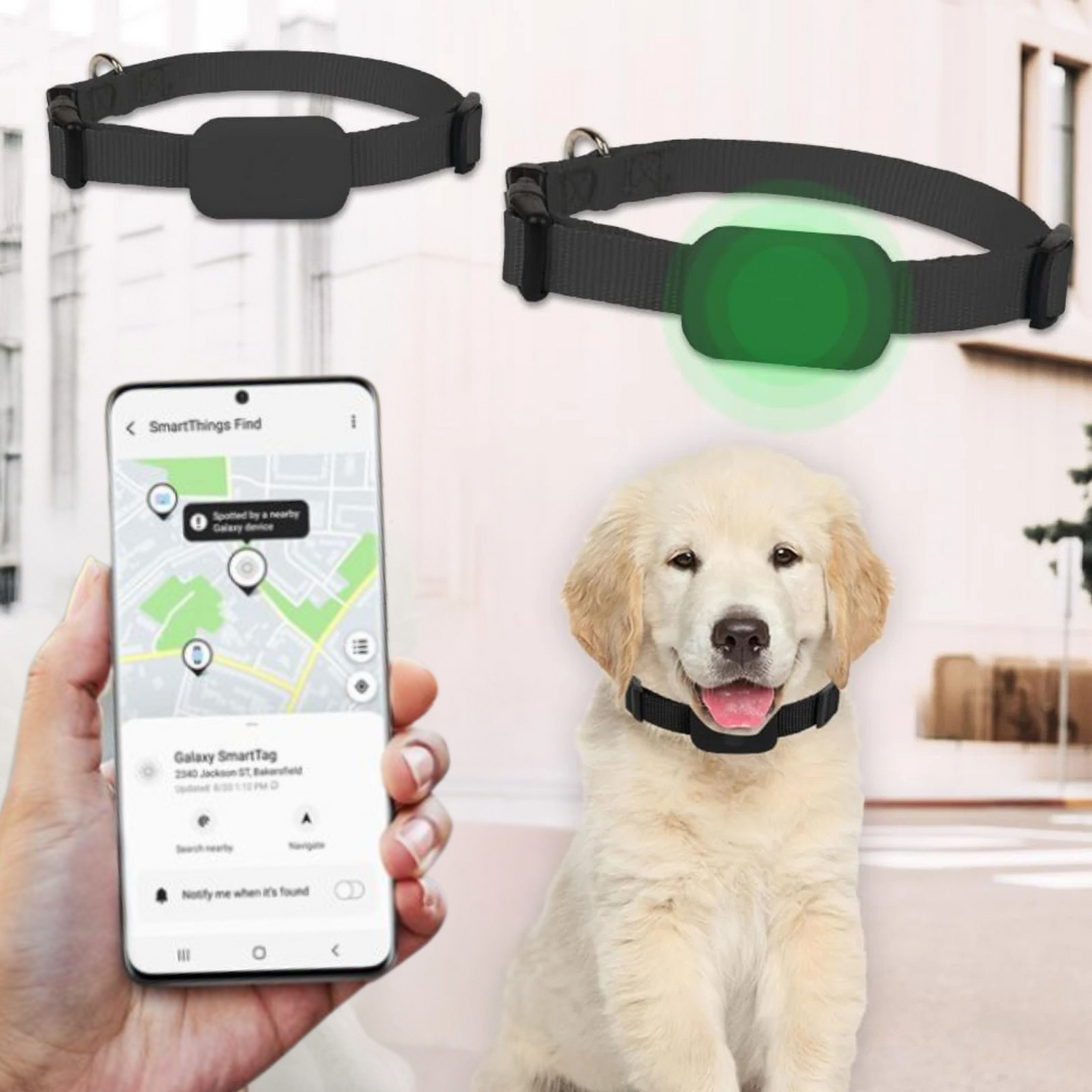 AnimalTracker Mini – Intelligenter Bluetooth-Halsband-Tracker für Hunde und Katzen
