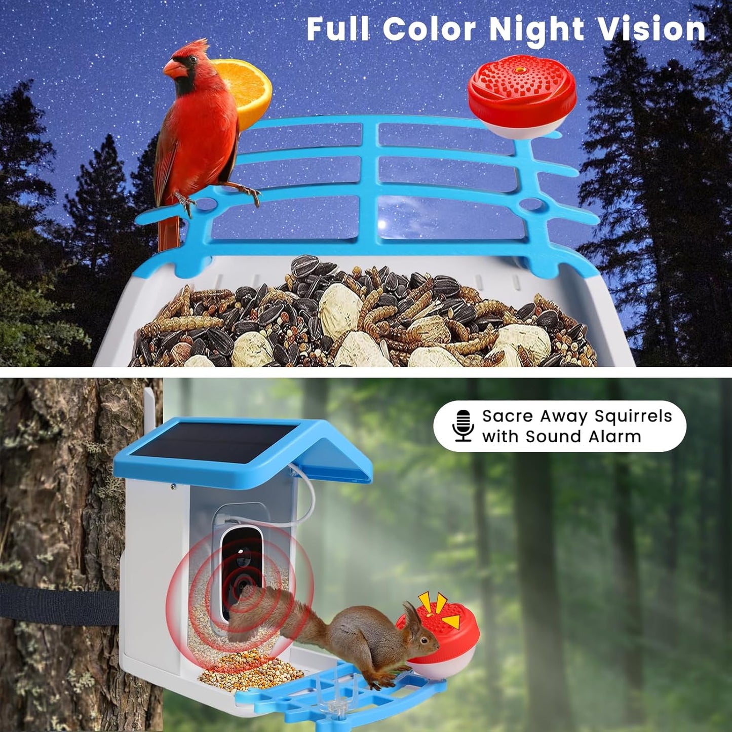 Smart Bird Feeder mit Solar-Kamera – KI-Vogelerkennung & Nachtsicht | Karnz