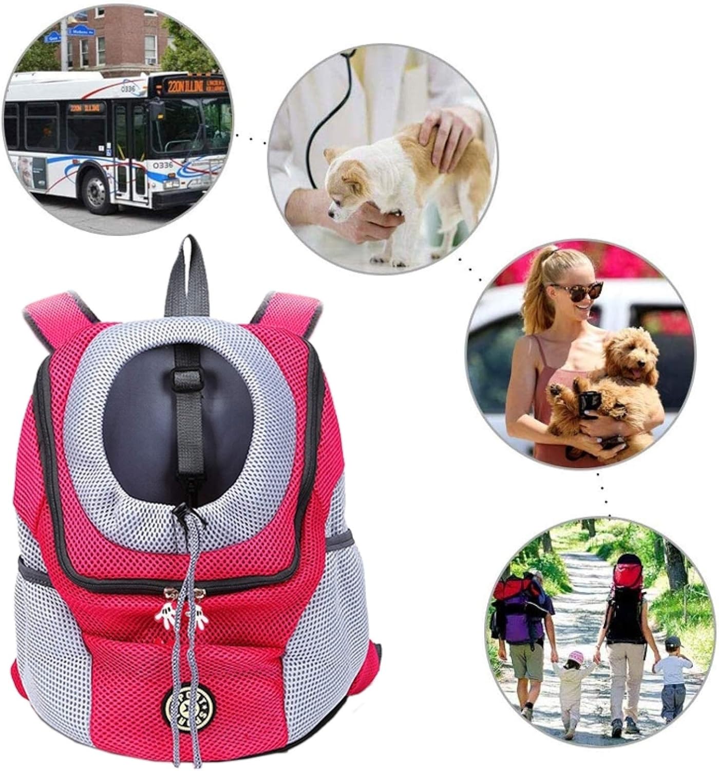 Karnz | PawCarry – Gemeinsam überall unterwegs