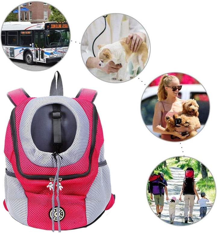 Karnz | PawCarry – Gemeinsam überall unterwegs