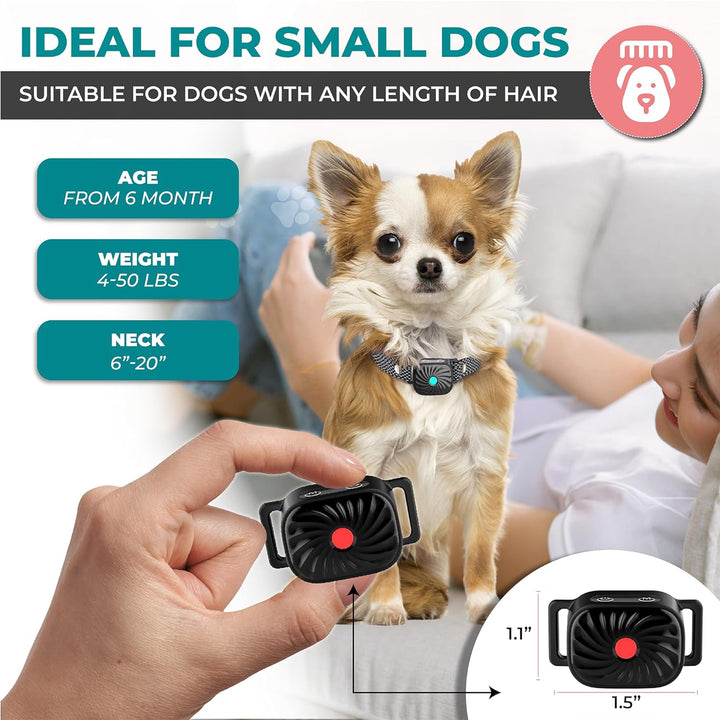 Antibellhalsband für kleine Hunde