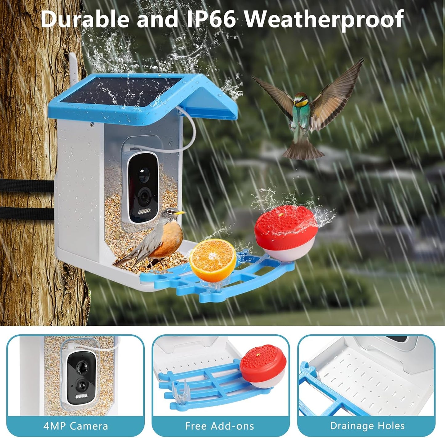 Smart Bird Feeder mit Solar-Kamera – KI-Vogelerkennung & Nachtsicht | Karnz