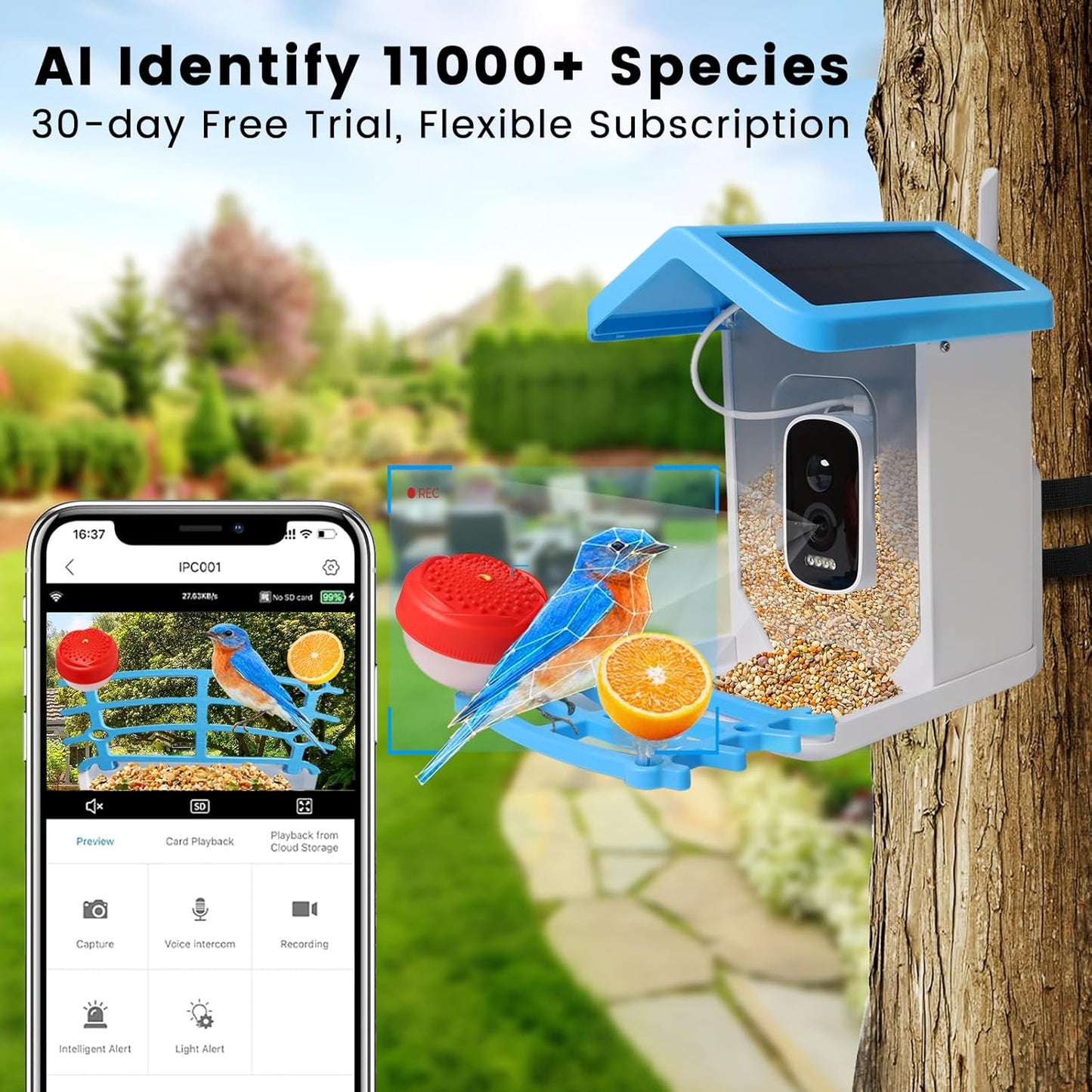 Smart Bird Feeder mit Solar-Kamera – KI-Vogelerkennung & Nachtsicht | Karnz
