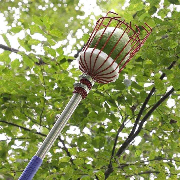 Früchtepflücker Werkzeug | Karnz