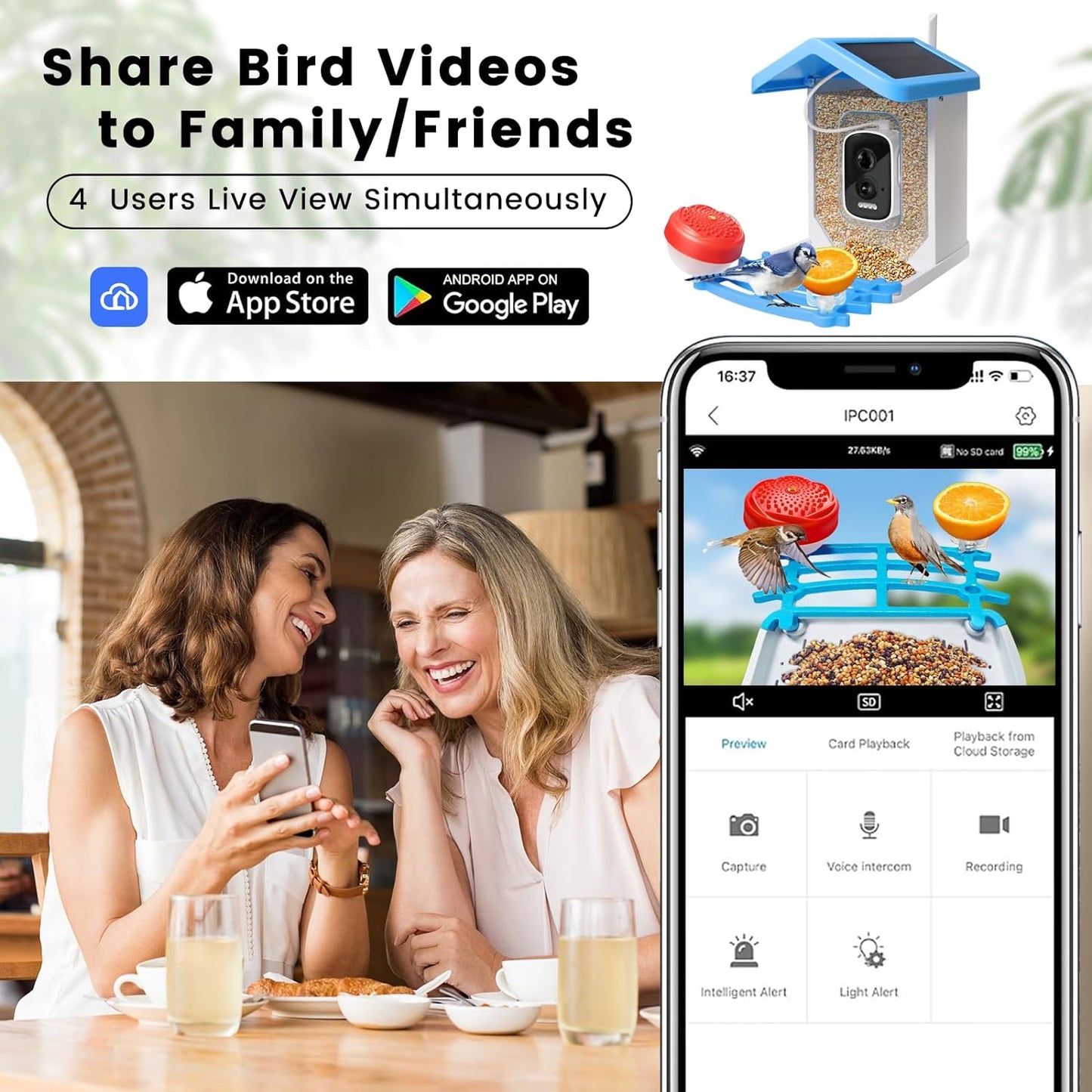 Smart Bird Feeder mit Solar-Kamera – KI-Vogelerkennung & Nachtsicht | Karnz
