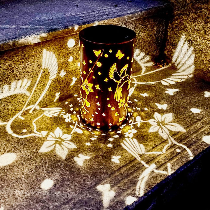 Solar Kolibri Hohl-Laterne Licht