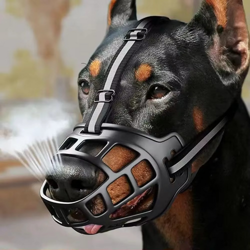 GuardPaw — Endlich sorgenfrei und sicher jede Gassi-Runde genießen | Karnz