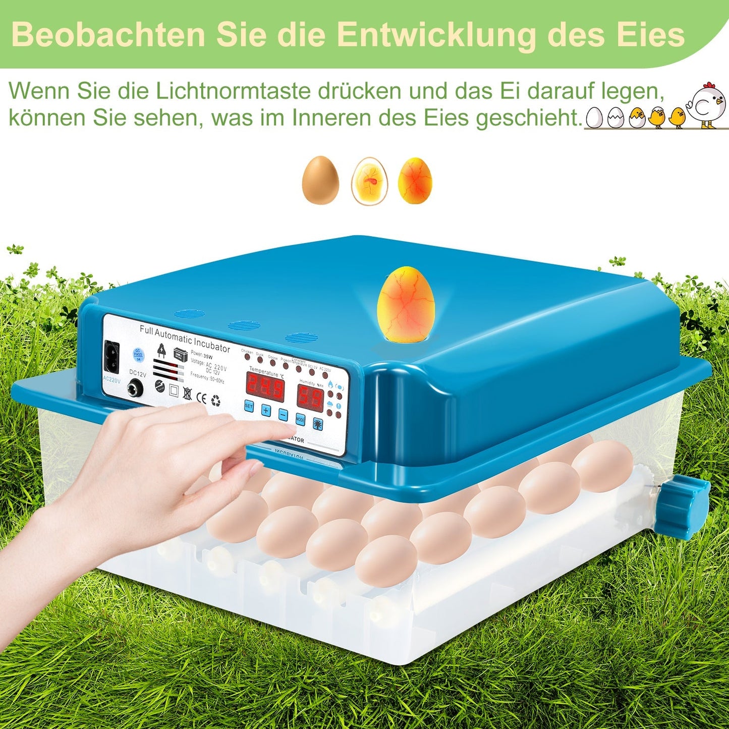 Brutautomat Vollautomatisch Inkubator für Hühner 36 Eier | Karnz