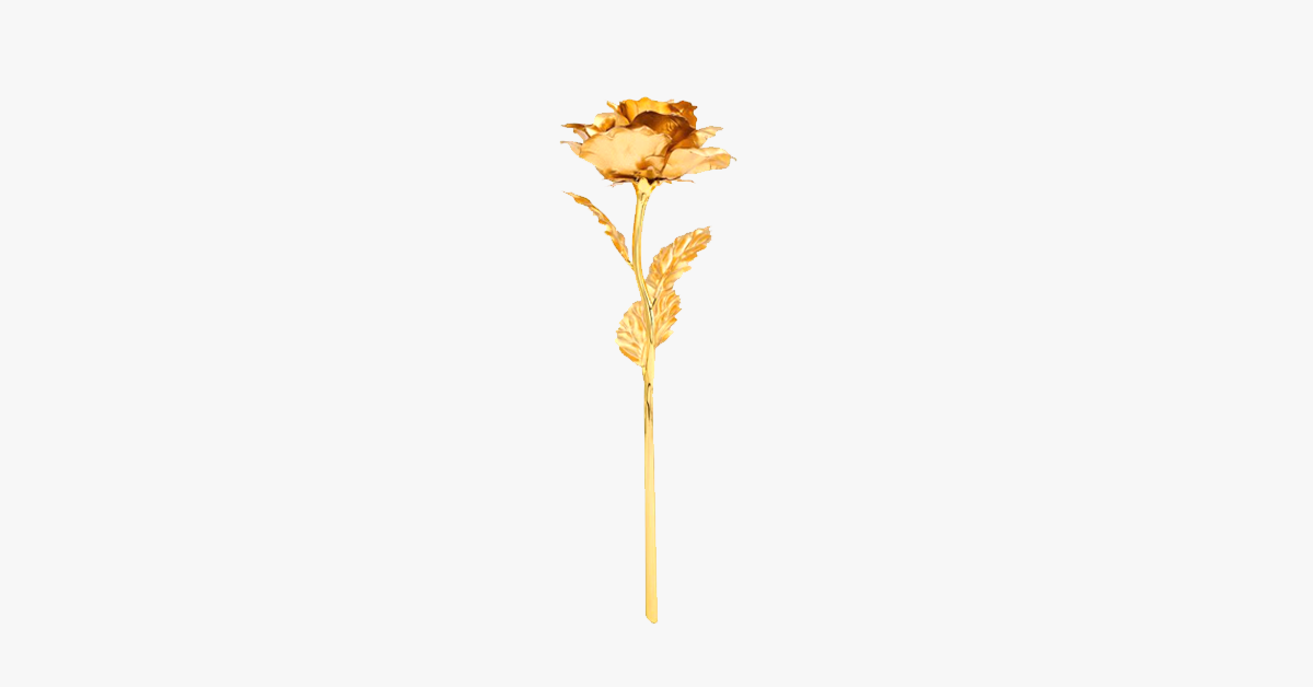 Echte, 24 Karat vergoldete Rose mit Geschenkbox