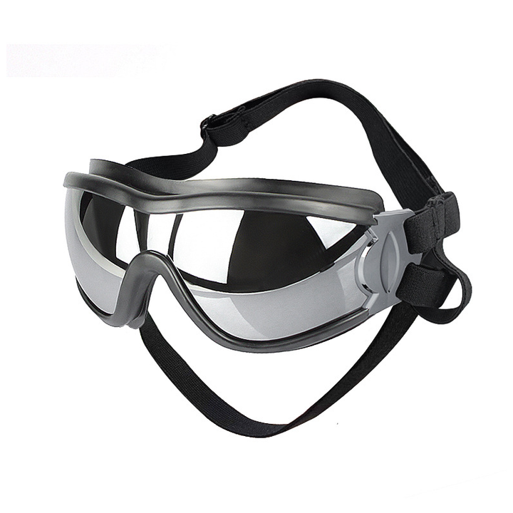 Outdoor-Schutzbrille für Hunde