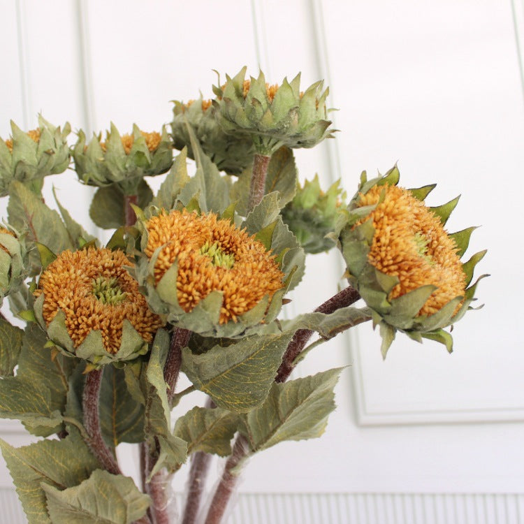 Getrockener Sonnenblumenstängel