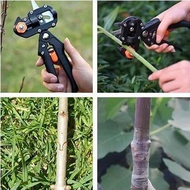 Gartenprofi Veredelungs-Schneidewerkzeug