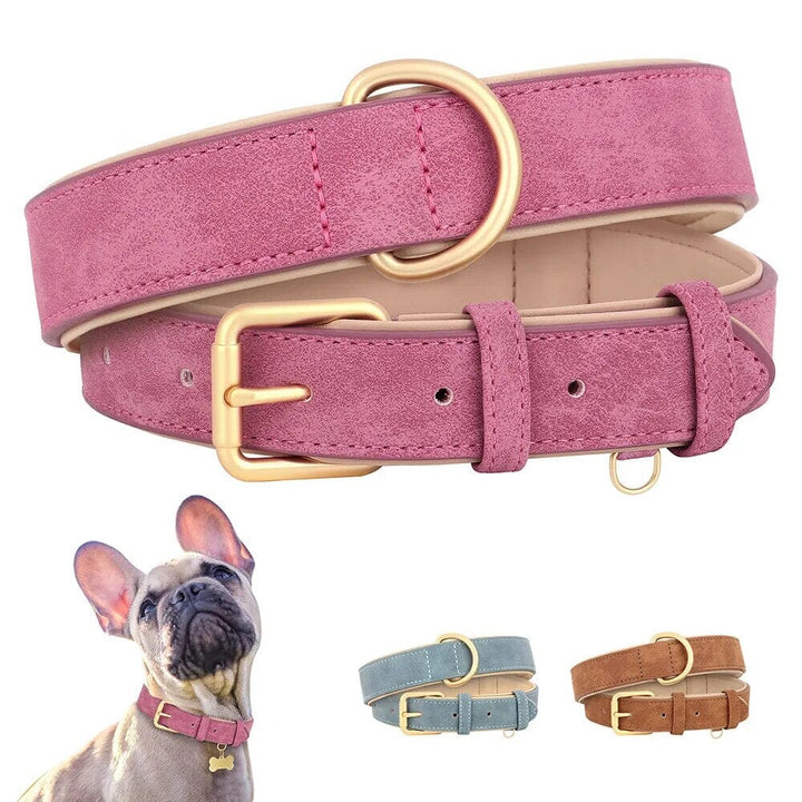 Karnz Pup Halsband
