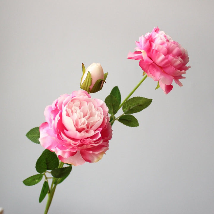 Realistische Pfingstrosenblüte Stem