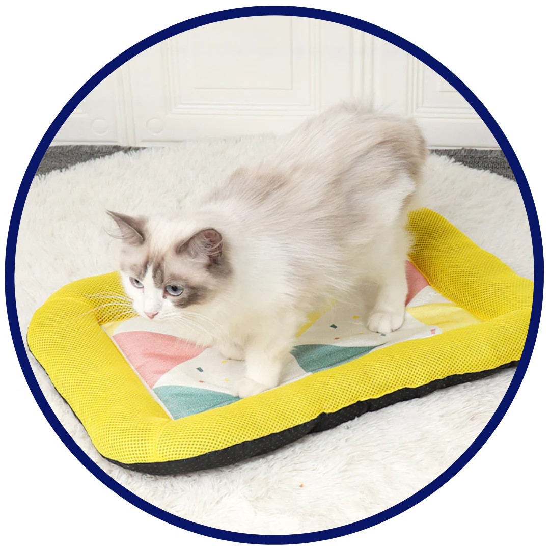 Pet Silk Cooling Mat | Karnz