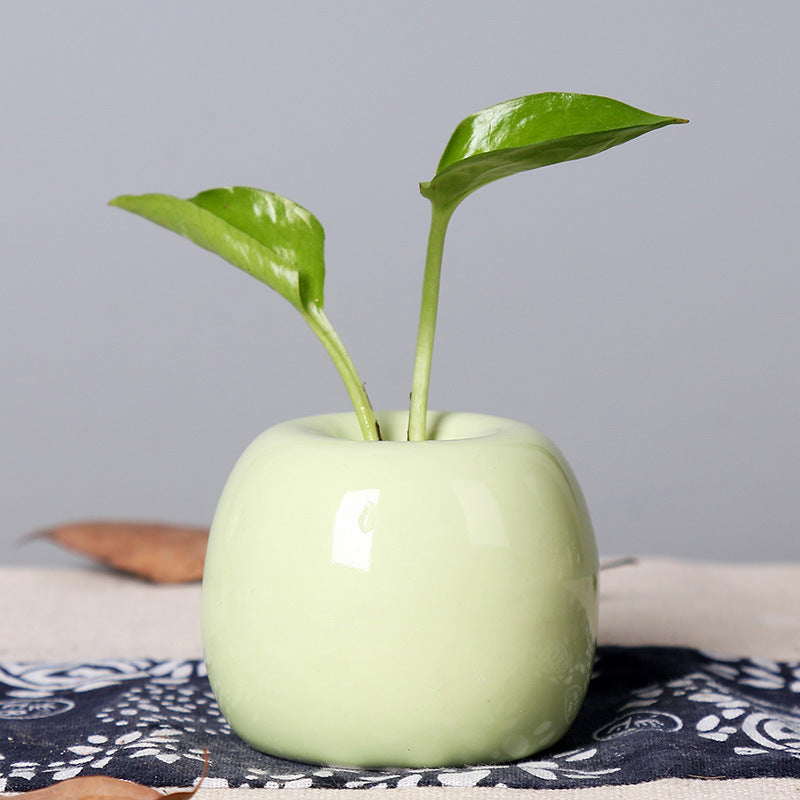 Künstlerischer Keramik-Apfel-förmiger Blumentopf Karnz