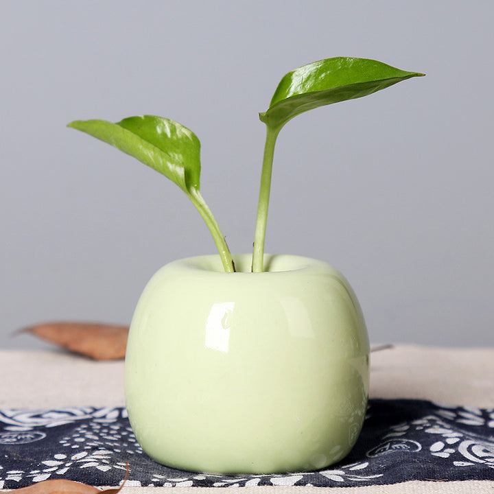 Künstlerischer Keramik-Apfel-förmiger Blumentopf Karnz