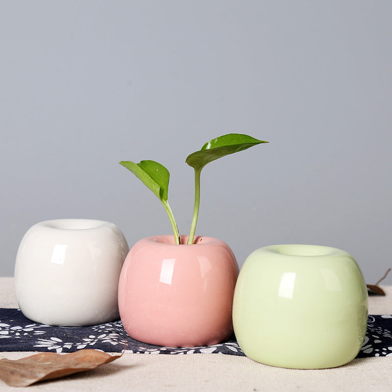 Künstlerischer Keramik-Apfel-förmiger Blumentopf Karnz