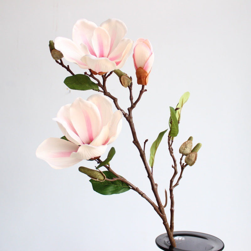 Realistische Magnolienblüte Stamm