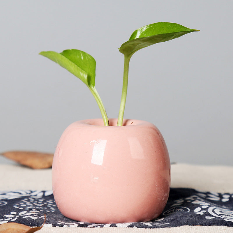 Künstlerischer Keramik-Apfel-förmiger Blumentopf Karnz