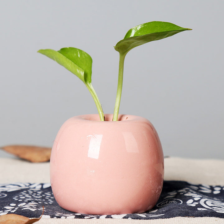 Künstlerischer Keramik-Apfel-förmiger Blumentopf Karnz