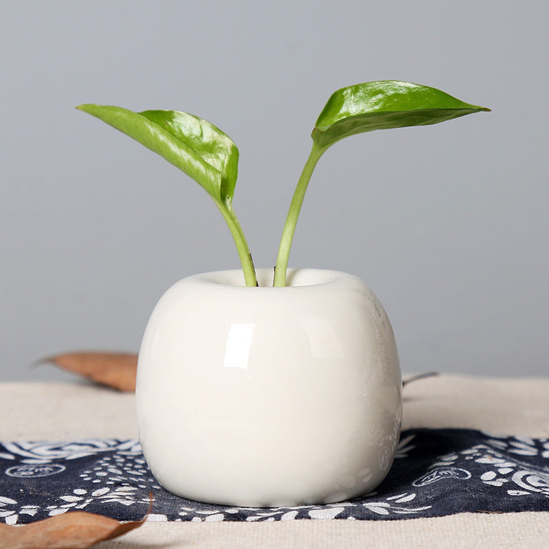 Künstlerischer Keramik-Apfel-förmiger Blumentopf Karnz