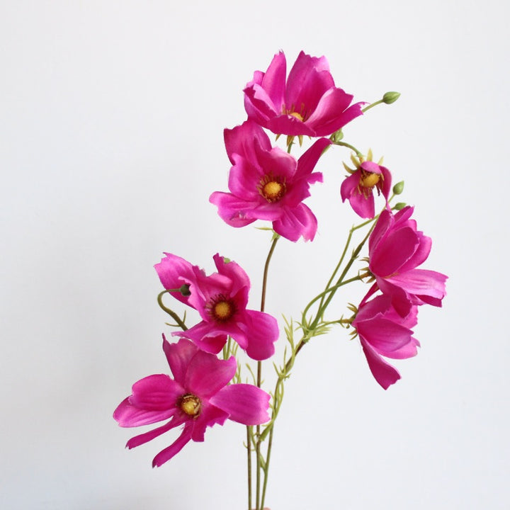 Dekorative Blumenarrangement