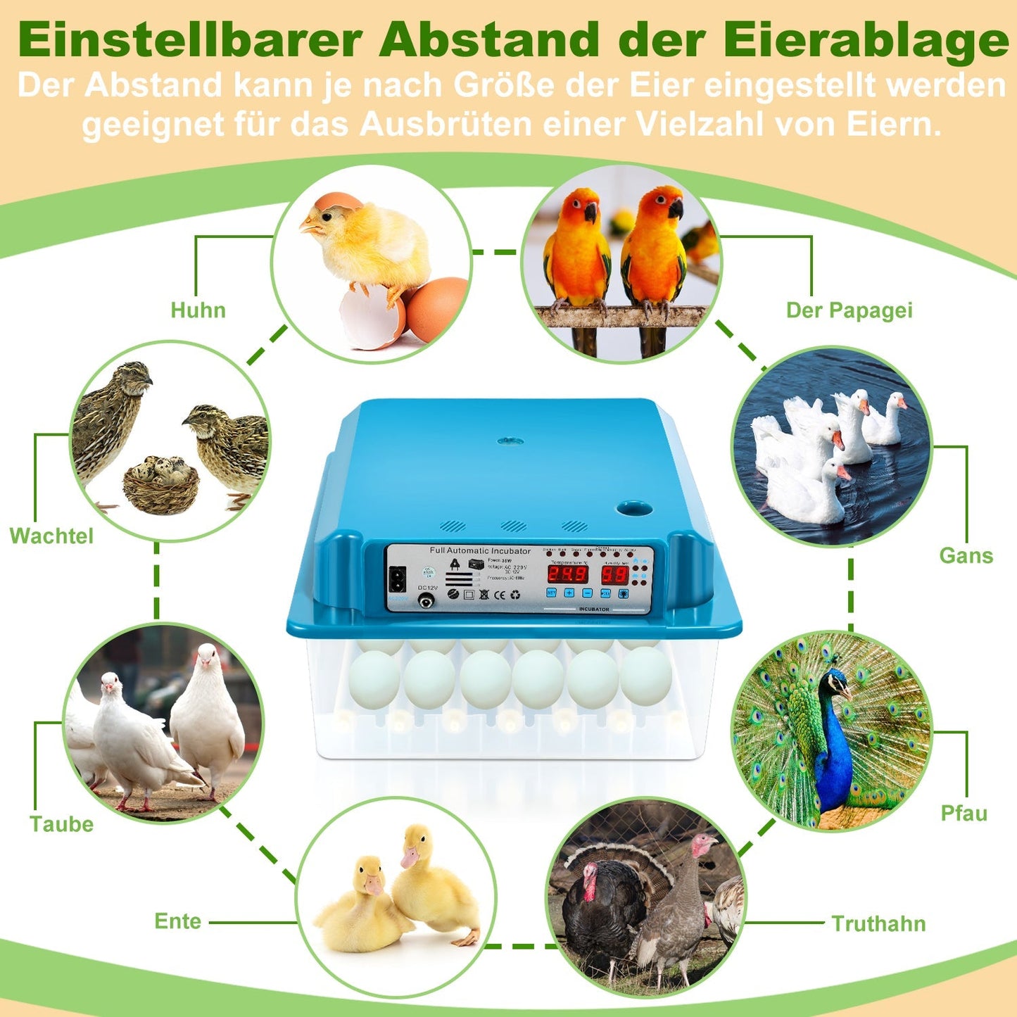 Brutautomat Vollautomatisch Inkubator für Hühner 36 Eier | Karnz