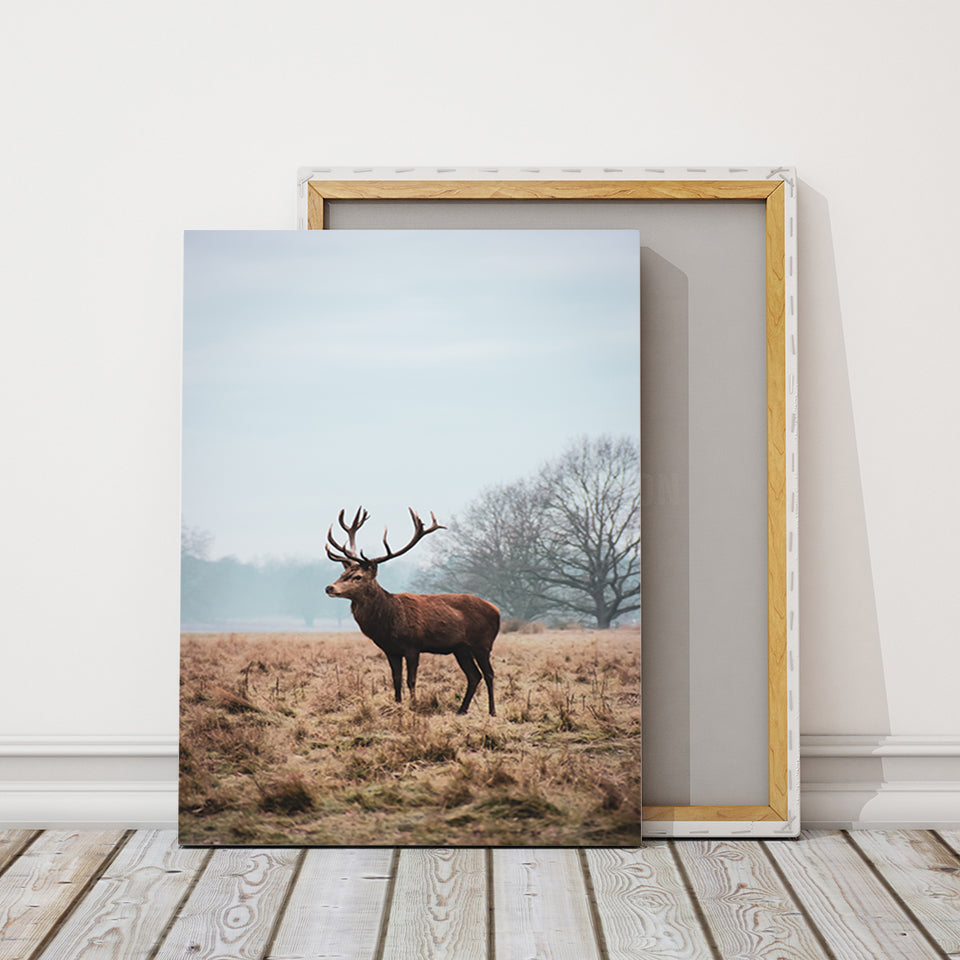 Majestätischer Hirsch in der Ebene - Leinwandbild