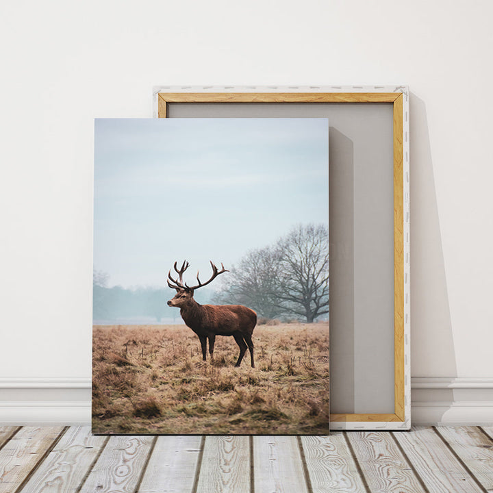 Majestätischer Hirsch in der Ebene - Leinwandbild