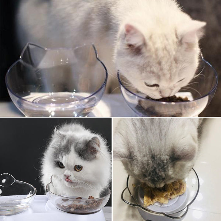 Futterschüssel für Katzen | Karnz