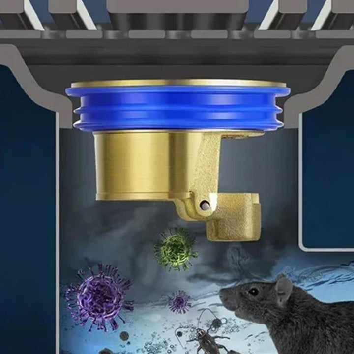 Fall Pipe Universeller Messing Bodenablauf Kern | Karnz