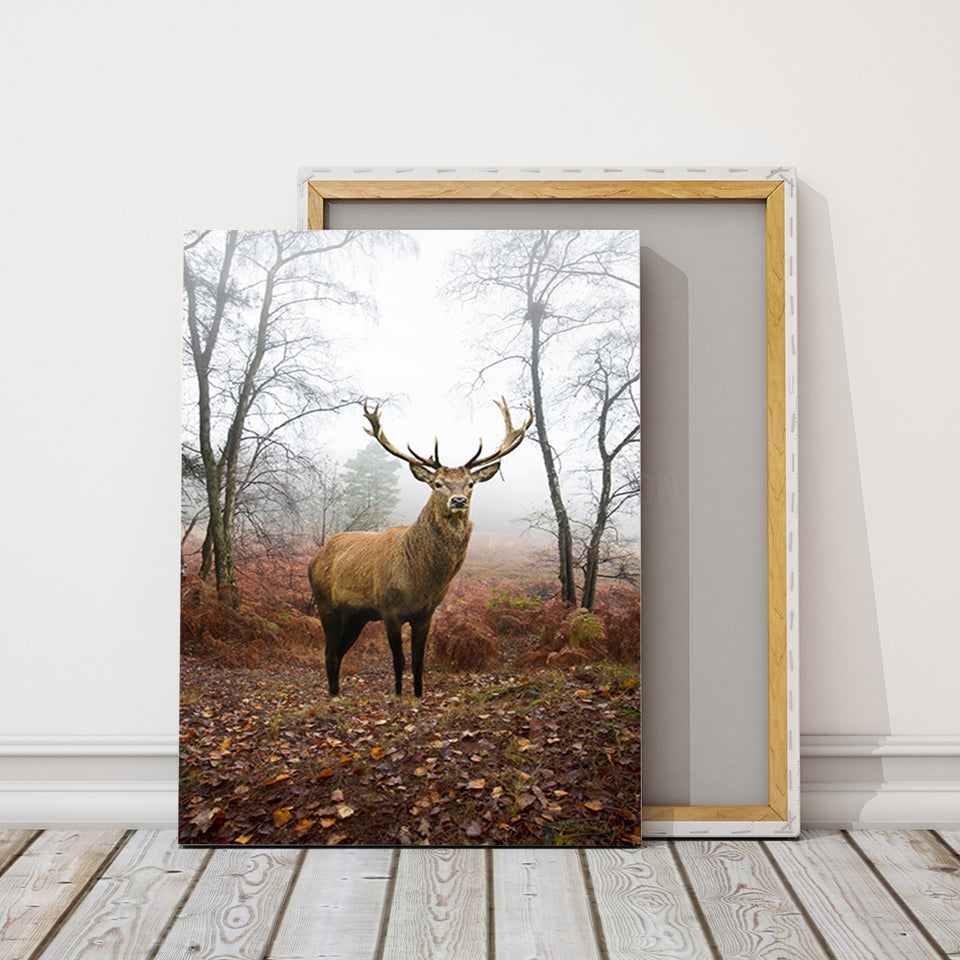 Herbstlicher Hirsch im Nebel - Leinwandbild