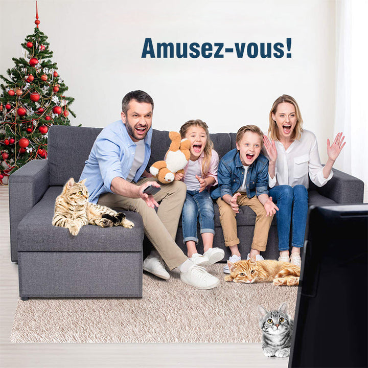 Kratzfeste Möbel Schutzband für Katzen | Karnz