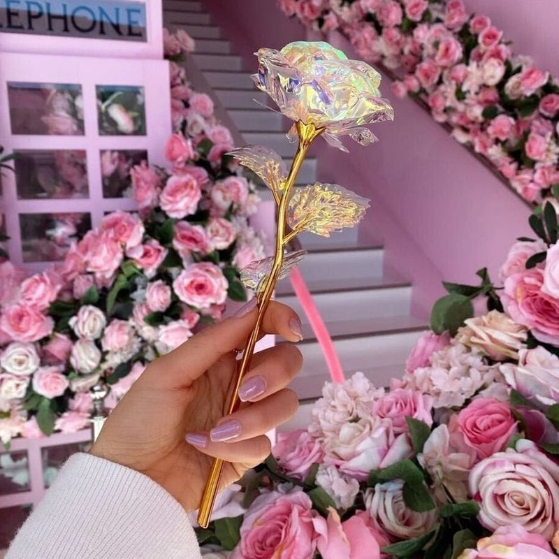 Glänzende schlafende Rose Valentinstag