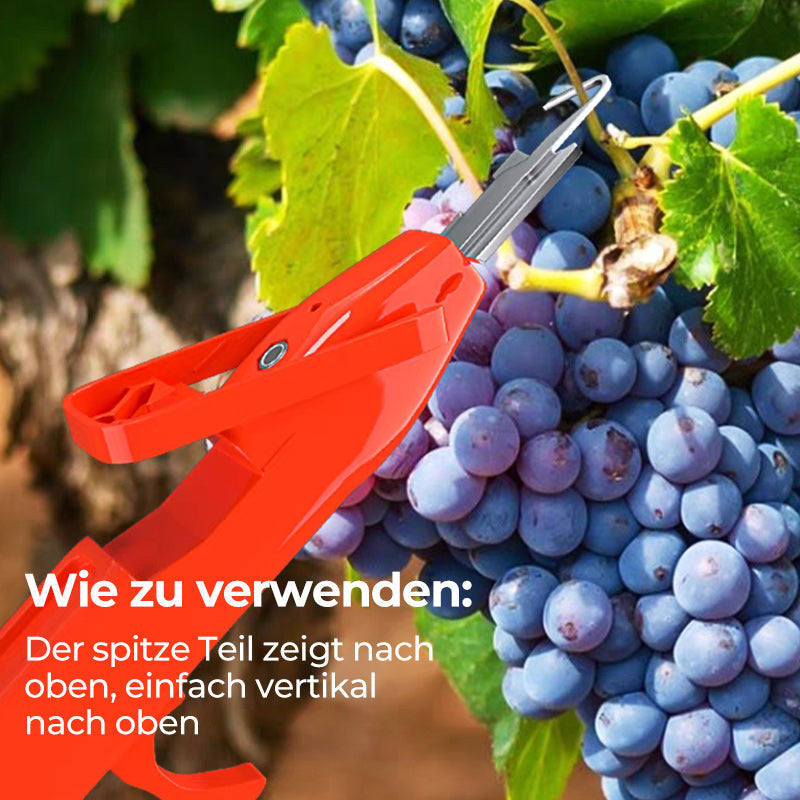 Effiziente Pfeffersammel Werkzeuge | Karnz