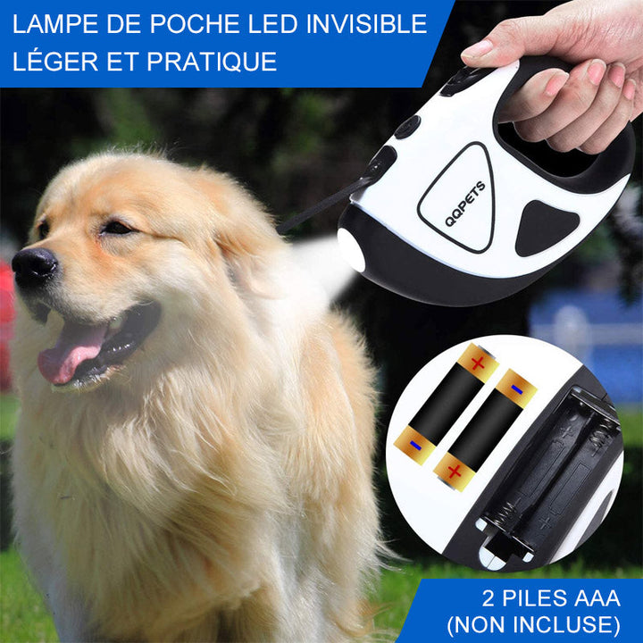 LED-Leine für Haustiere, ausziehbar | Karnz
