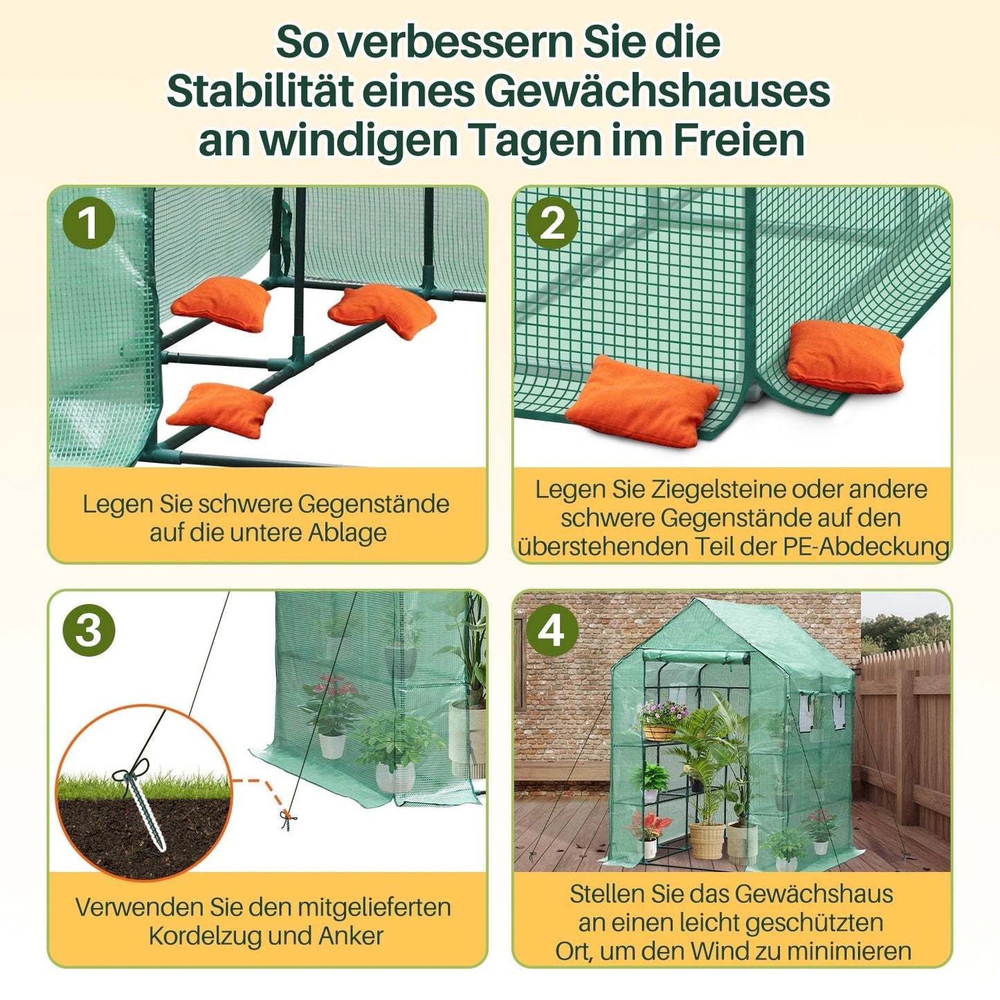Gewächshaus Foliengewächshaus mit Regalen | Karnz