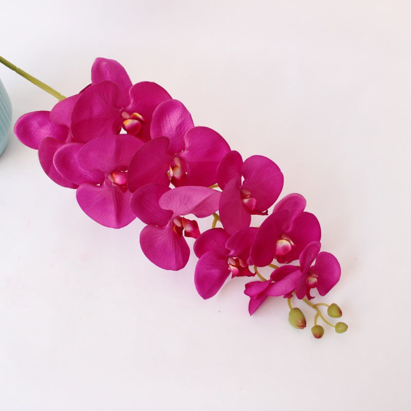 Elegante Orchideenstängel