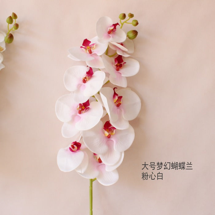 Elegante Orchideenstängel