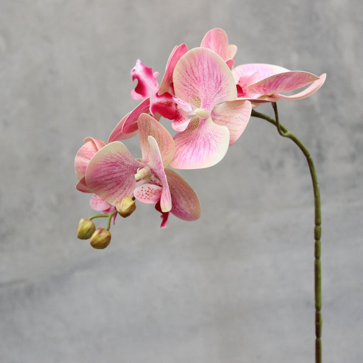 Realistische Künstliche Orchideenstamm