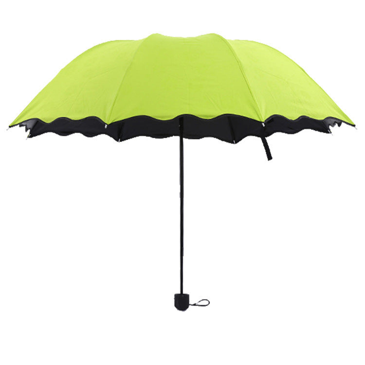 Damen Regenschirm Karnz