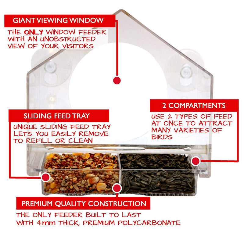 Smart Bird Feeder mit Live-Kamera | Karnz