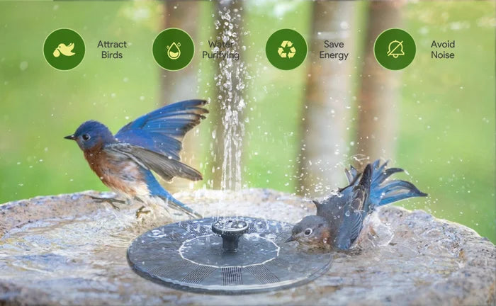 SolarSprudelX — Mach deinen Garten zur atemberaubenden Natur-Oase voller Leben und Magie! | Karnz