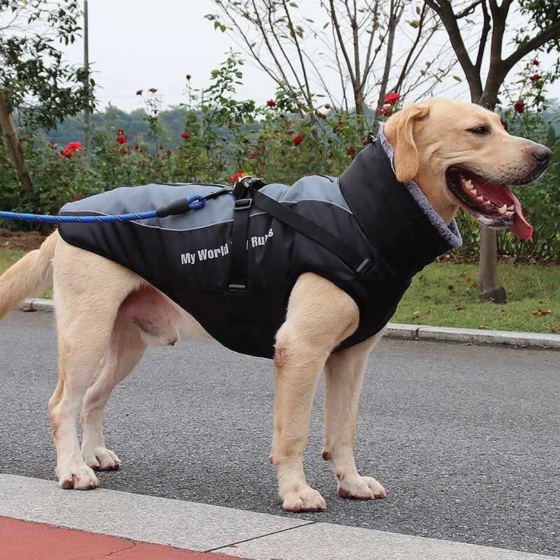 Karnz | Wasserdichte Winterhundejacken