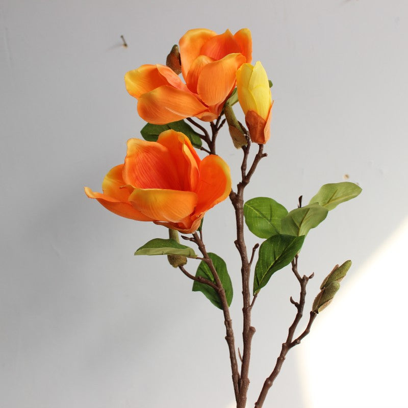 Realistische Magnolienblüte Stamm
