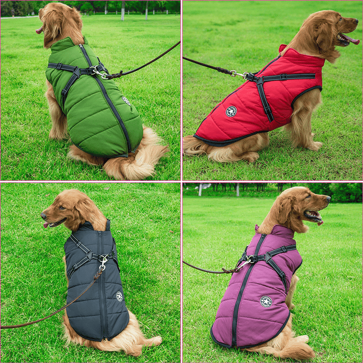 Winter Hundejacke mit Geschirr | Karnz