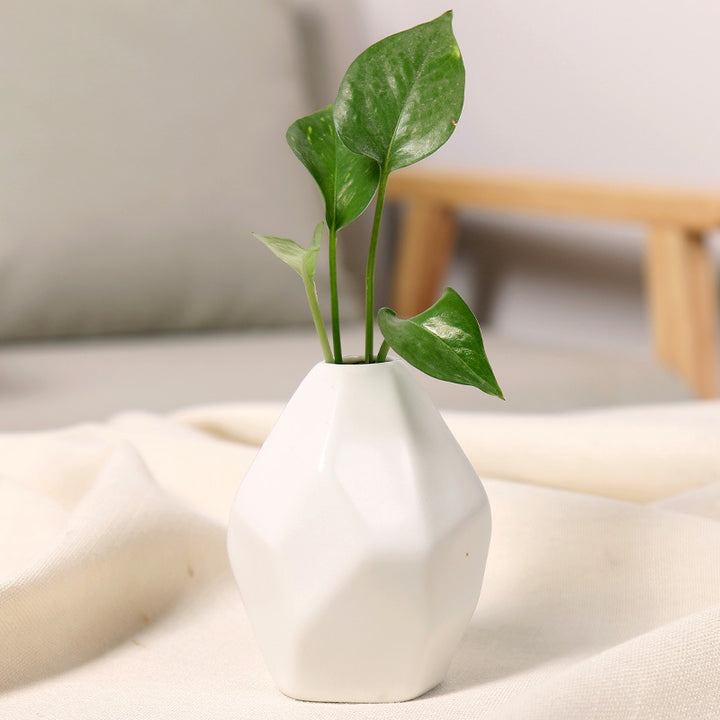 Geometrische Keramische Dekorative Vase Karnz
